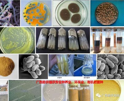 南宁微瑞生物科技 聚焦前沿科技，驱动健康未来